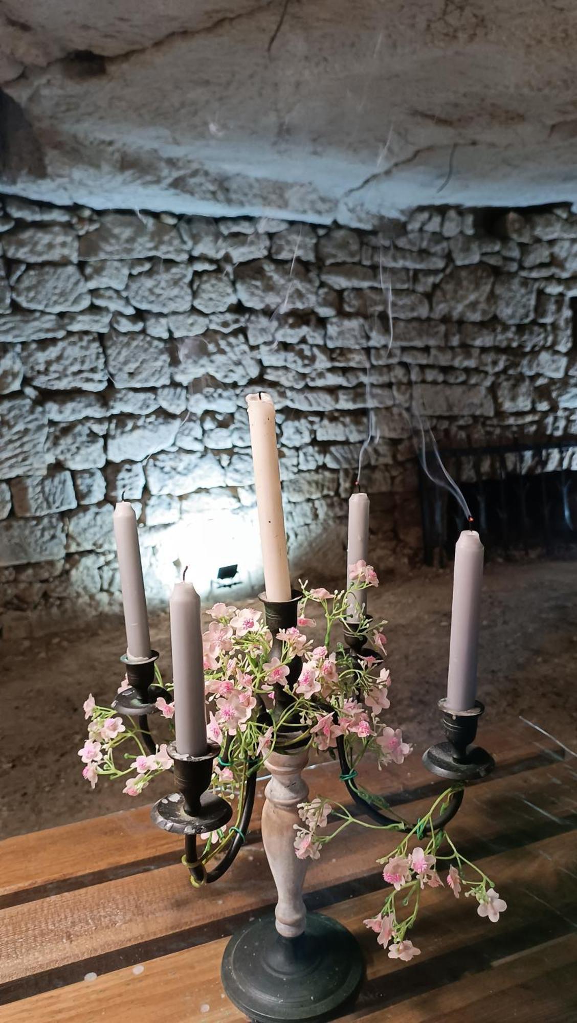 Meuble De Tourisme Petit Chail Saint Savinien Eksteriør billede